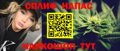 гидропоника Можайск