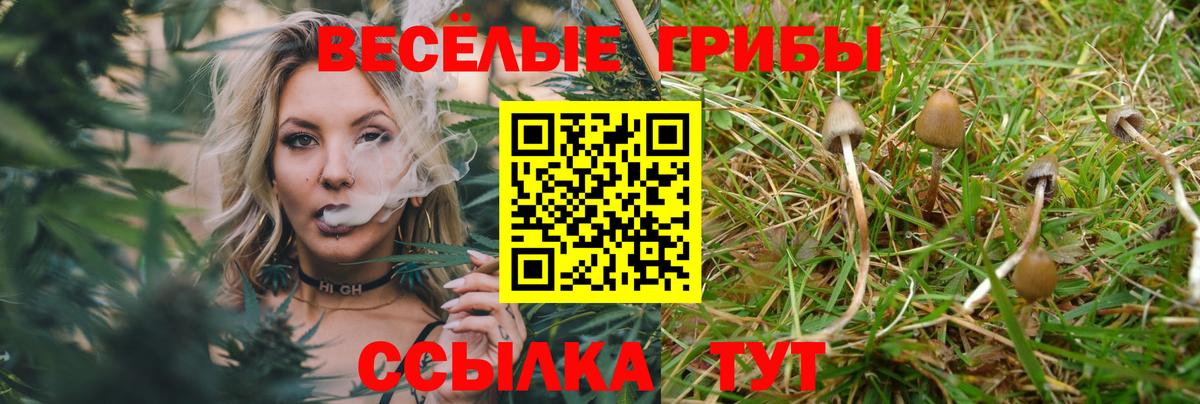 Галлюциногенные грибы ЛСД  Вход с VPN  Вышний Волочёк  Галлюциногенные грибы Magic Shrooms 